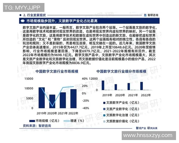数据分析V5技术表现评估与行业应用前景探讨