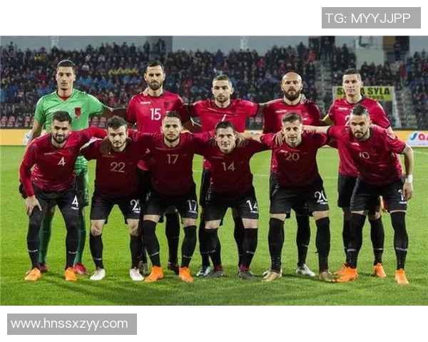 冰岛与阿尔巴尼亚2019年足球对决回顾及精彩瞬间分析