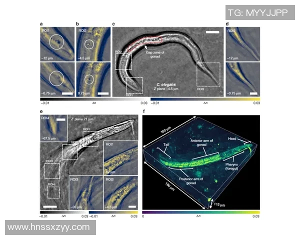 赛后复盘分析上海攀岩队与南京攀岩队的团队协作表现与策略探讨