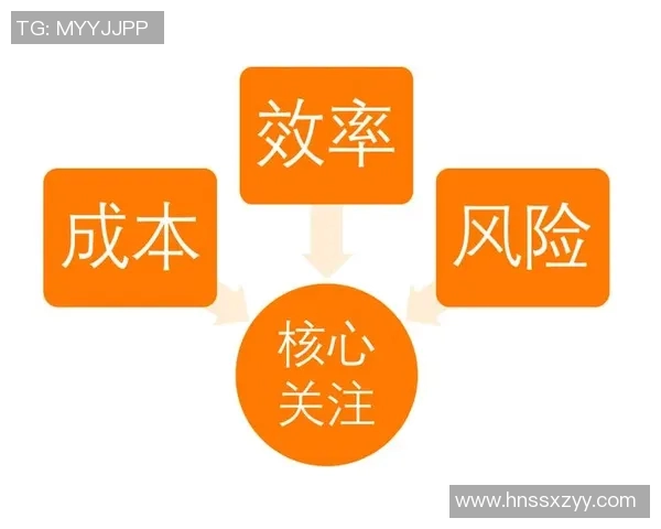 赛事组织创新模式探索与实践:提升赛事管理效率与观众体验的策略分析